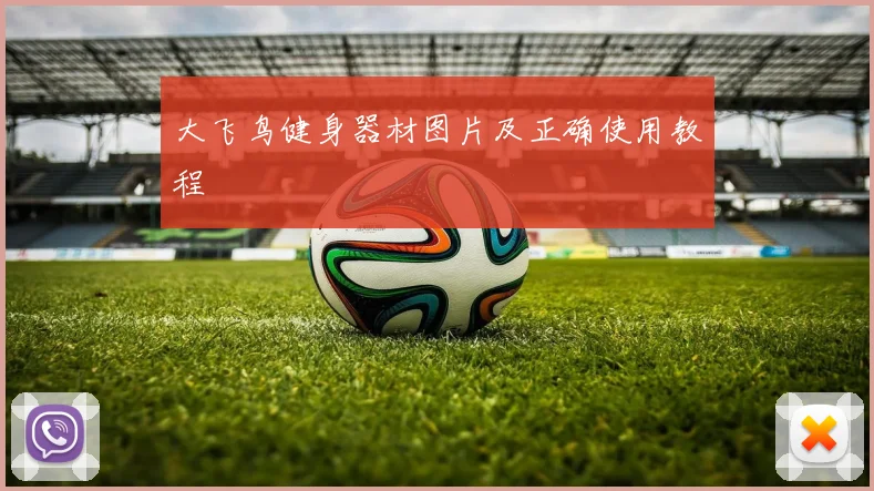 大飞鸟健身器材图片及正确使用教程